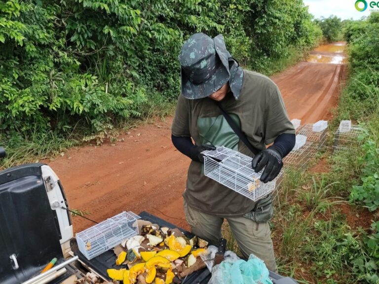 Serviços de Fauna em Mineração