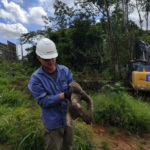 Resgate de Animais silvestres