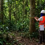 Invetario florestal