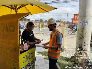 pesquisa socioeconomico