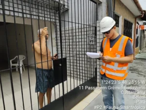 pesquisa socioeconomico
