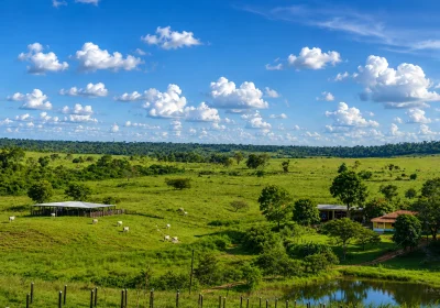 Consultoria ambiental em empreendimentos rurais